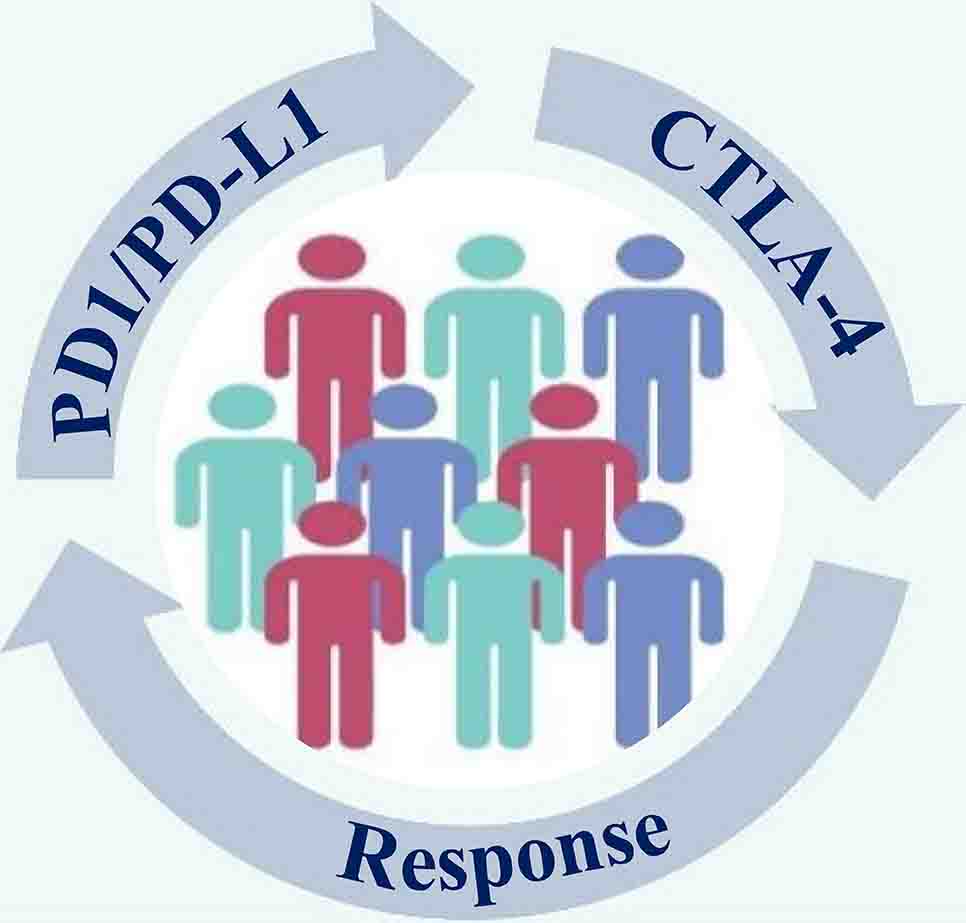 Immunotherapy 
 Cohorts